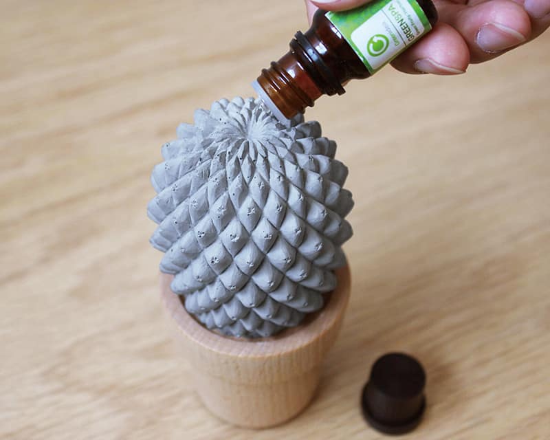 《Green object》仙人掌香氛