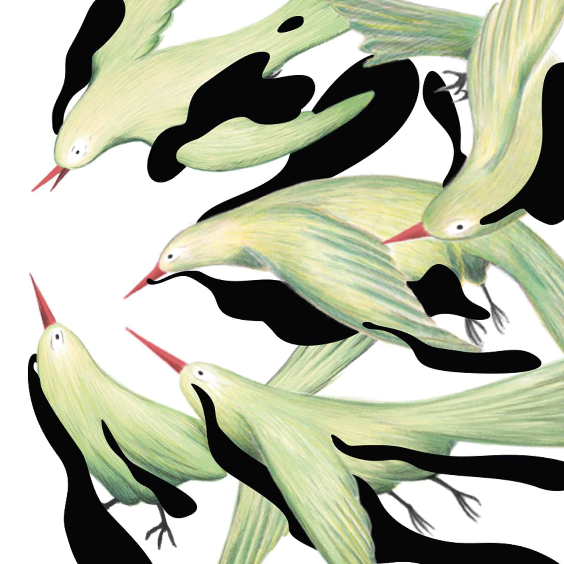 the-bird-movement