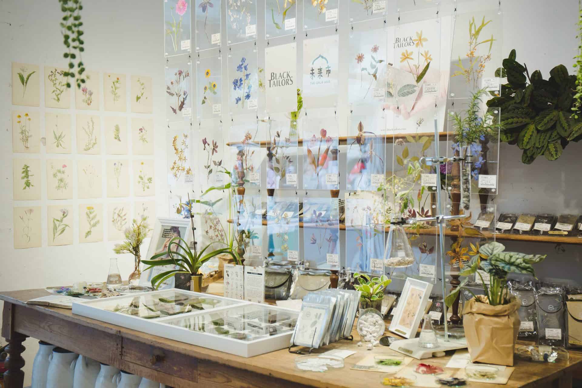 礦石上的植物圖鑑系列-花草_未來市Pop-Up-Shop_圖片提供／BLACK TAILORS 小黑尾巴